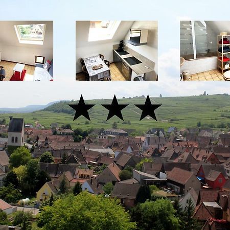 Gite Des 5 Cigognes Rouge Mittelwihr Kültér fotó