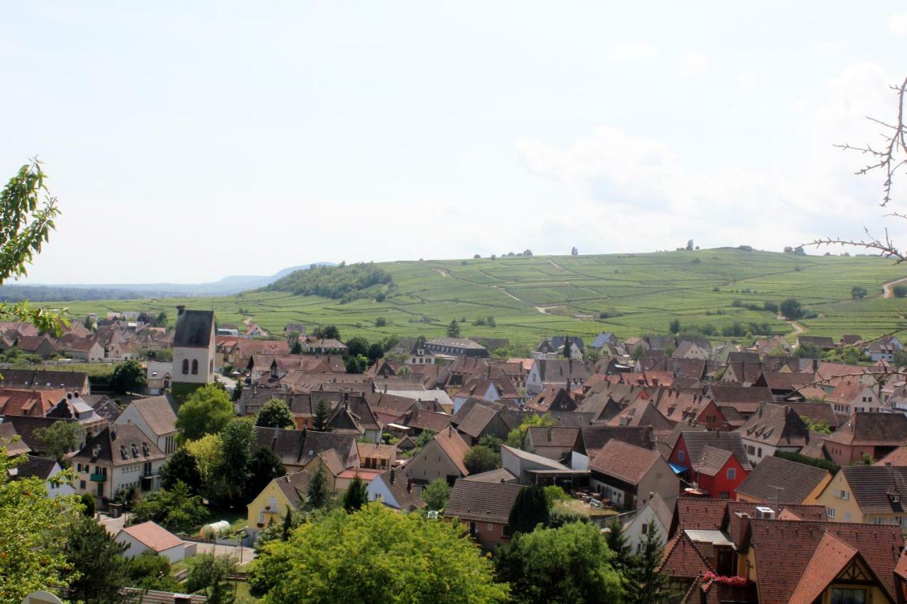 Gite Des 5 Cigognes Rouge Mittelwihr Kültér fotó