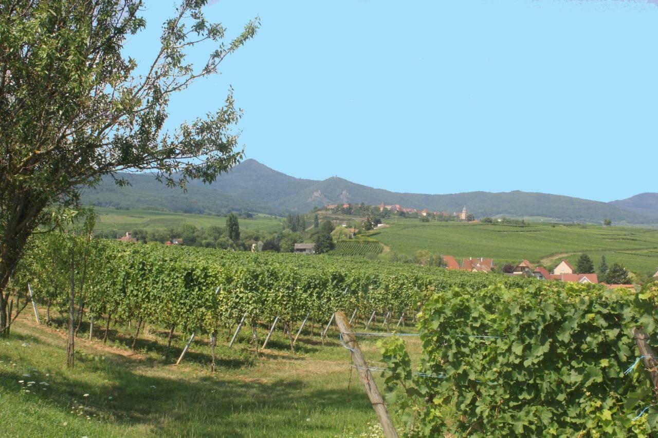 Gite Des 5 Cigognes Rouge Mittelwihr Kültér fotó