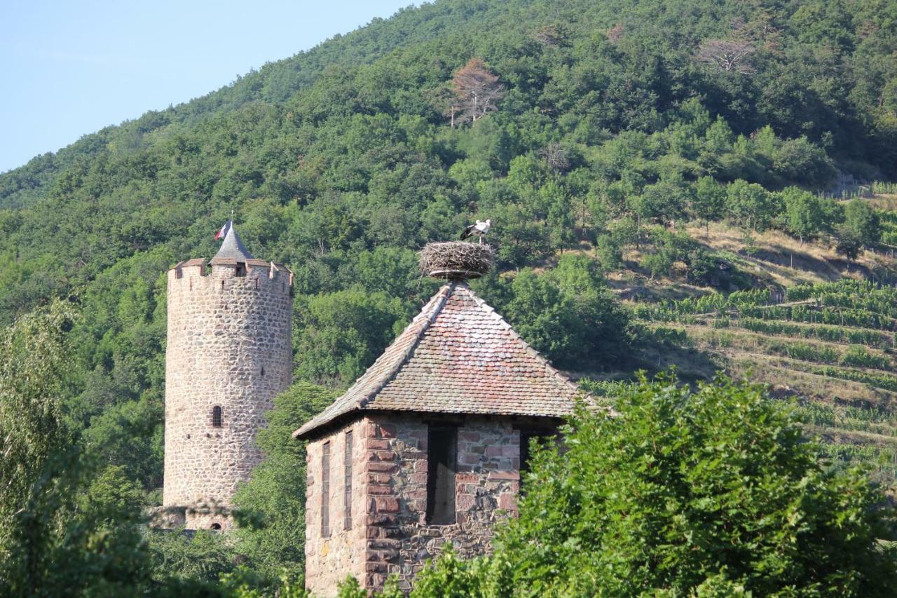 Gite Des 5 Cigognes Rouge Mittelwihr Kültér fotó